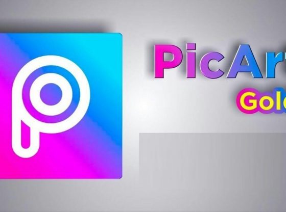 PicsArt 14.0.3 Premium APK - PicsArt Gold APK in 2020 | Photo editor app, Photo studio, Video collage maker