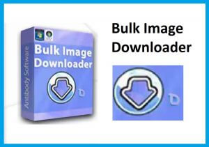 Bulk Image Downloader Crack 6.12.0 2022 Download